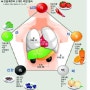 우리 몸안의 5가지 색깔과 음식궁합