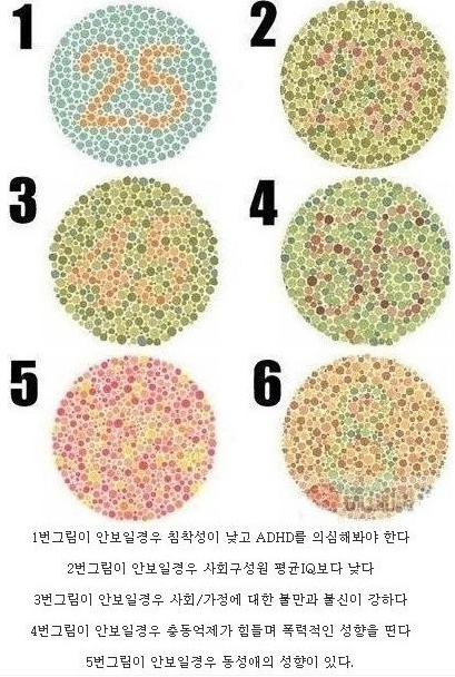 [색맹.색맹테스트] 색맹 . : 네이버 블로그