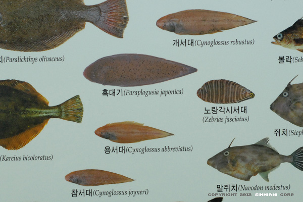 참서대과,납서대과 : 네이버 블로그