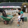 여름방학 아이들 체험학습 장소추천 대관령 동물농장