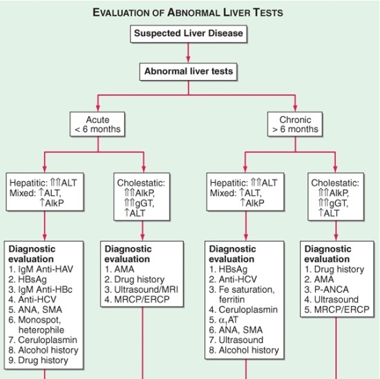 evaluation-of-abnormal-liver-tests