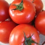 토마토잼 만들기/ 라이코펜 흡수율을 업UP! 시키는 토마토 섭취방법/ 건강한 홈메이드잼 만들기