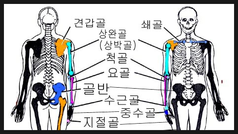 팔 골절 장애,상완골(상박골)골절,요골 척골 골절 보험금,팔골절치료와보상,골절 후유장해 보상금,합의금 : 네이버 블로그