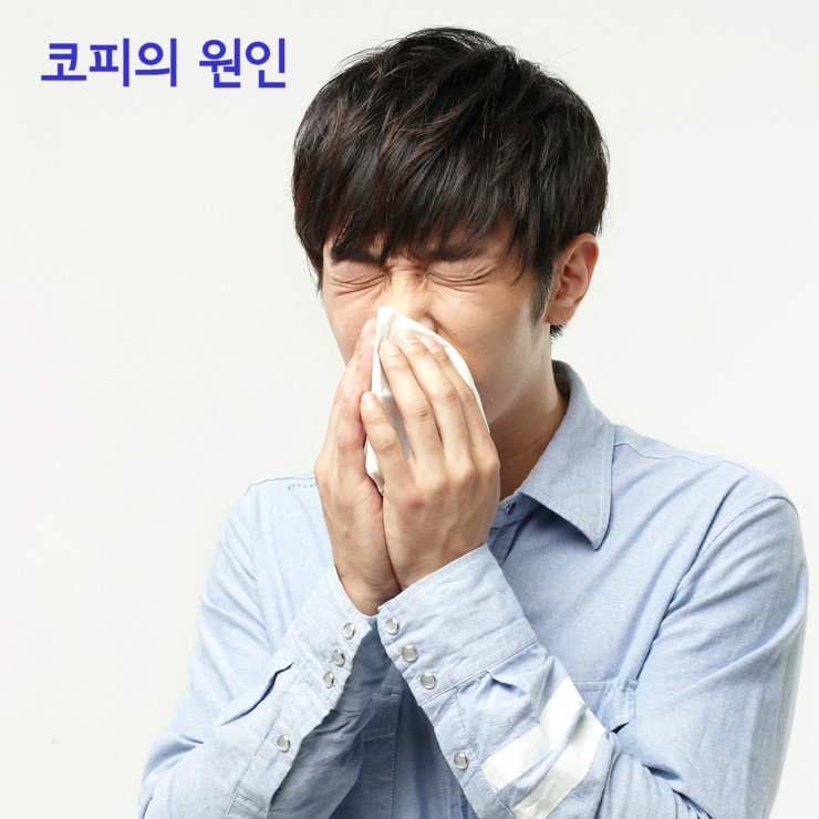 코피의 원인_코피지혈방법 : 네이버 블로그