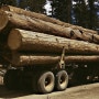 나무목재추천, 호주 목재산업 동향