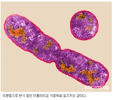이분법 네이버 블로그