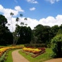 스리랑카여행 ① 캔디 _ 로얄 보타닉 가든 (Royal Botanic Gardens: 페라데니야 식물원)