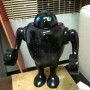 Black Hobby - Roboto House