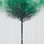 발자국으로 만든 나무그림 created by Jody Xiong