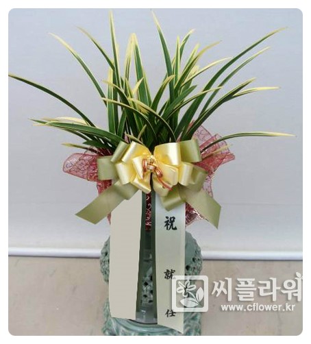 ◎ 취임축하 문구,메세지 ◎ : 네이버 블로그