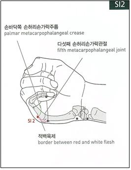 조연호의 경혈학 강의(208) : 수태양소장경 - SI2 전곡(前谷) : 네이버 블로그