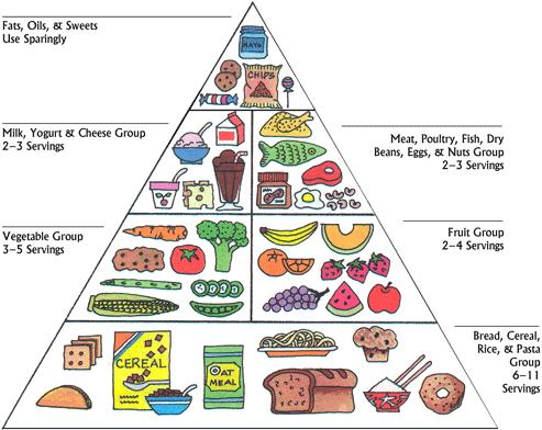 The Food Guide Pyramid - 간단한 설명과 링크 : 네이버 블로그