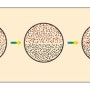 (제1장) 2. 기(氣)가 정말 있어요?③ [김여진&진여수,진여워터테라피]