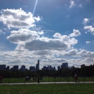 센트럴 파크의 여름 (Central Park in summer)