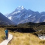 아오라키/마운트 쿡 (Aoraki / Mt. Cook )트랙 코스