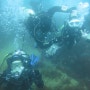 레크레이셔널 다이빙 VS 테크니컬 다이빙