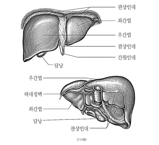 간 : 네이버 블로그