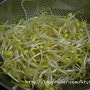 전기밥솥으로 만든 콩나물밥