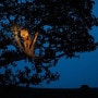 Best photos galleries 2011- from National Geographic