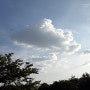 [MV900F] 가을 하늘 사진 찍어보기 _ with Samsung Camera MV900F/삼성스마트카메라 뉴 미러팝