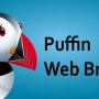 [아이폰/아이패드 어플] iOS 에서 "플래쉬 지원"이 안된다고? Puffin Web Browser 로 해결하자!