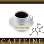 커피 카페인 함량 조사 결과