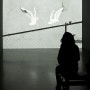 서울국제미디어아트비엔날레 / 데이비드 클레어바우트「알제의 행복한 순간의 단면들,2008」