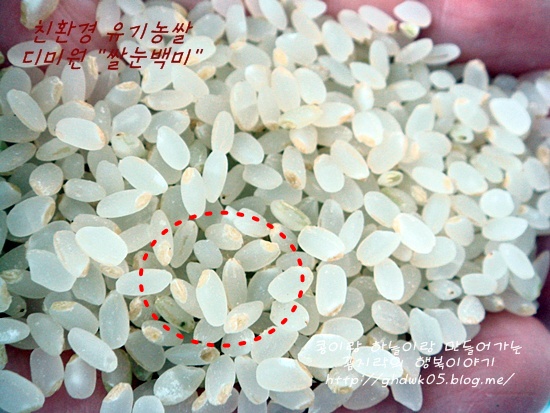 [ 쌀눈백미 / 쌀눈쌀 / 아이미 / 디미원 ] 쌀눈이 살아있는 쌀~밥맛 좋은 쌀눈백미 