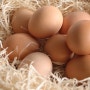 캠핑먹거리 추천으로 좋은 친환경 계란인 유정란을 소개합니다.