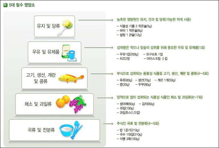 5대영양소 (단백질, 지방질, 탄수화물, 비타민, 무기질)의 기능은 무엇인가 : 네이버 블로그