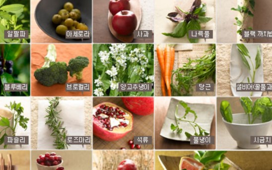 영양소의 기능 / 3대 영양소 / 5대 영양소 / 6대 영양소 / 그외 필요한 영양소 : 네이버 블로그