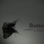 Butterfly - 러브홀릭스 [듣기, 가사, 자동재생]