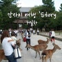 [일본여행] 간사이 여행 `Story 7일차 사슴의 나라, 나라 1편