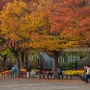 일산 호수공원의 가을 풍경
