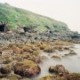 [WWII Memories] Weird Holes_Japanese WWII Ruins in Jeju Island