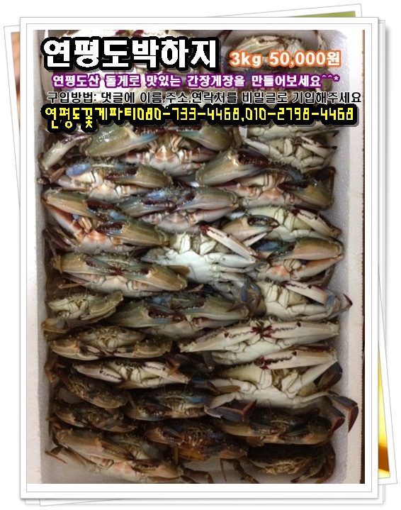 연평도박하지(돌게) 판매합니다. : 네이버 블로그