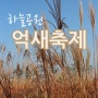 하늘공원 억새축제_가을이면 여유롭게 걷기 좋은 곳