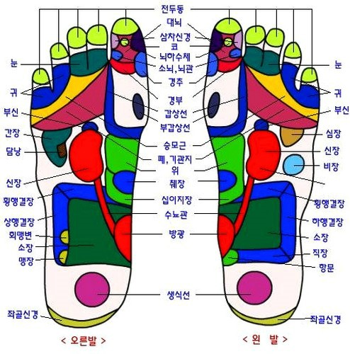 발 지압 방법을 알아보자 : 네이버 블로그