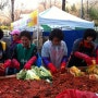 [도봉] 직접 재배한 유기농 채소로 마을공동체 실천