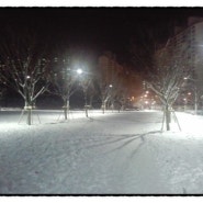 눈오는 밤 - 당정역 근린공원