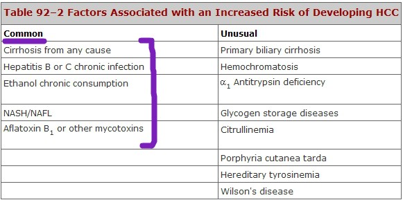 HCC의 risk factors/진단기준 - - Harrison/Cecil : 네이버 블로그