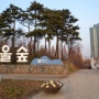 서울숲 Park 2권역, 해넘이 명소 둘러보기---사슴이 노니는 생태숲, 그리고 아름다운 노을 이야기