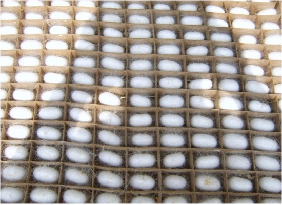 섬유의 기초 실크 (견섬유)!! : 네이버 블로그