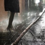 雨요일의 사진가...크리스토프 쟈크로