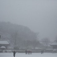 전북 고창 선운사(2012년 12월 8일)