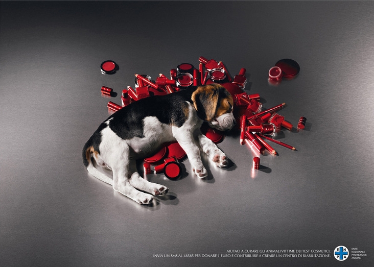 동물 학대 포스터 아이디어