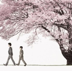 코부쿠로 桜 사쿠라 네이버 블로그