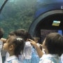 푸켓 아쿠아리움 - Phuket Aquarium