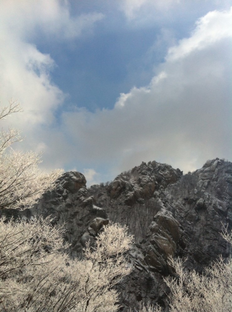 [기업 임원의 영문직책 정리]-CEO/COO/CFO/CIO/CMO/CCO/CTO/CRO/CGO : 네이버 블로그