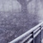 겨울 이미지 : W i n t e r i m a g e : 눈꽃이미지/눈오는이미지/눈내리는이미지/눈쌓인이미지